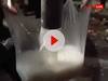 Video: यूपी के इस शहर में हैंडपंप से निकला सफेद पानी, दूध समझकर घर ले गए लोग, सामने आया वीडियो