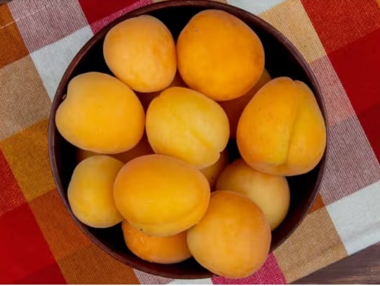 Apricots: ਸਰਦੀਆਂ ਦੇ ਮੌਸਮ ਵਿੱਚ ਖੁਰਮਾਨੀ ਖਾਣਾ ਸਿਹਤ ਲਈ ਬਹੁਤ ਫਾਇਦੇਮੰਦ ਹੁੰਦਾ ਹੈ। ਆਓ ਜਾਣਦੇ ਹਾਂ ਰੋਜ਼ਾਨਾ ਕਿੰਨਾ ਖਾਣਾ ਚਾਹੀਦਾ ਹੈ?