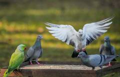 Weather Update: বাড়ছে ঘূর্ণিঝড়ের আশঙ্কা, সপ্তাহান্তে বৃষ্টির পূর্বাভাস এই জেলাগুলিতে