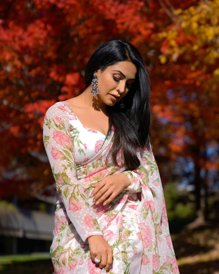 చీరకట్టులో ఎంతో అందంగా కనిపిస్తోంది నందిని.(Image credit: Nandini rai/Instagram)