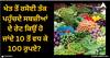 Vegetable price: ਖੇਤ ਤੋਂ ਰਸੋਈ ਤੱਕ ਪਹੁੰਚਦੇ ਸਬਜ਼ੀਆਂ ਦੇ ਰੇਟ ਕਿਉਂ ਹੋ ਜਾਂਦੇ 10 ਤੋਂ ਵਧ ਕੇ 100 ਰੁਪਏ?