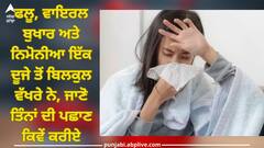 Health News: ਫਲੂ, ਵਾਇਰਲ ਬੁਖਾਰ ਅਤੇ ਨਿਮੋਨੀਆ ਇੱਕ ਦੂਜੇ ਤੋਂ ਬਿਲਕੁਲ ਵੱਖਰੇ ਨੇ, ਜਾਣੋ ਤਿੰਨਾਂ ਦੀ ਪਛਾਣ ਕਿਵੇਂ ਕਰੀਏ