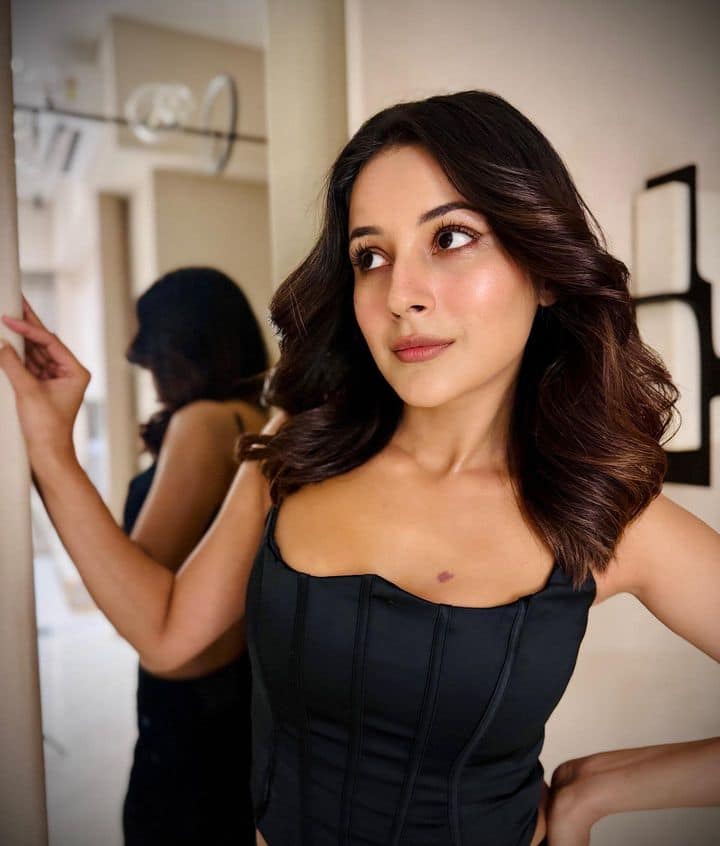 शहनाज जेव्हा 'बिग बॉस 13' मध्ये आली, तेव्हा तिची ओळख फक्त पंजाबपुरती मर्यादित होती.