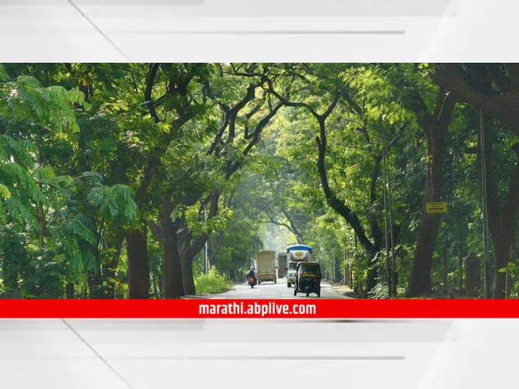 Aarey Forest Green toll to be paid while traveling through Aarey Colony Sanjay Gandhi National Park Mumbai News Aarey: आरेतून प्रवास करताना आता खिशाला चाप; वाहनधारकांना भरावा लागणार 'ग्रीन टोल', वनविभाग निर्णय घेण्याच्या तयारीत