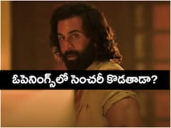 'యానిమల్' బాక్సాఫీస్ రికార్డులు - మొదటి రోజు రణబీర్ సెంచరీ కొడతాడా?