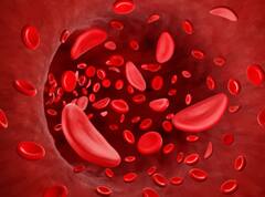 Health News:প্রেগন্যান্সির সময় অ্যানিমিয়া? ঢিলেমি দিলে হতে পারে বড় ক্ষতি