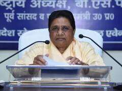 'लोकसभा चुनाव में अपने बलबूते पर सत्ता हासिल करेंगे' बसपा की बैठक में मयावती का एलान