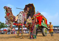 Pushkar Camel Fair 2023: উটের নাচ-ট্রাপিজ-গোঁফের লড়াই! দেশের এই কার্নিভালে ভিড় বিদেশিদেরও