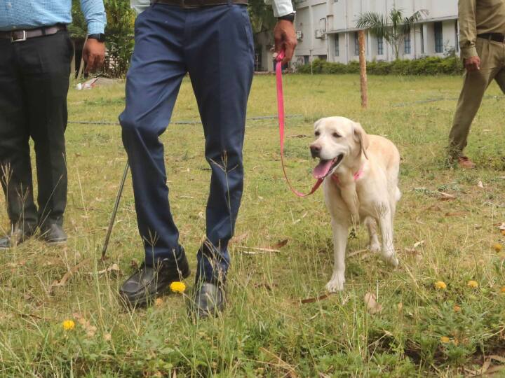 Mumbai Doberman breed sniffer dog found kidnapped six-year-old child in just 90 minutes police is investigating matter Mumbai Police: मुंबई में खोजी कुत्ते ने की पुलिस की बड़ी मदद, इस तरह छह साल के लापता बच्चे को खोज निकाला