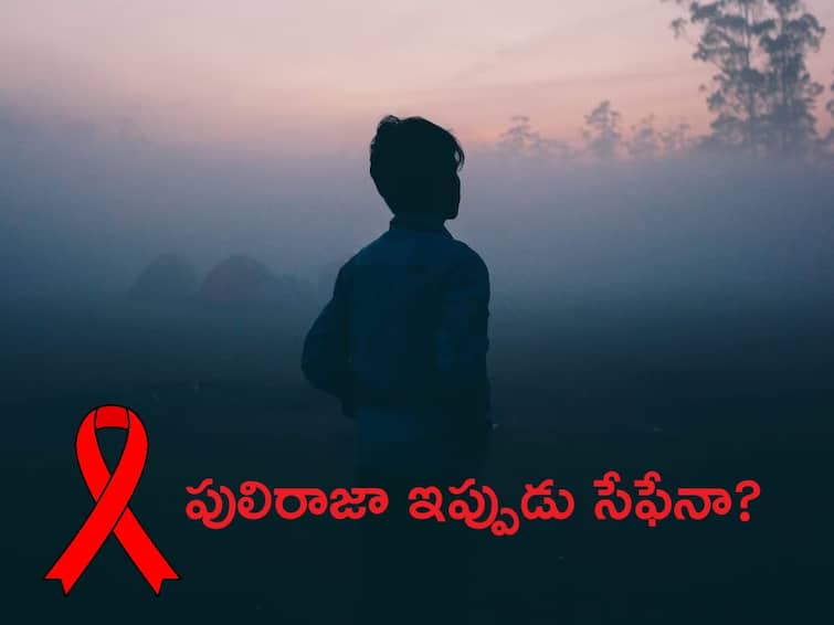 World AIDS Day 2023 : Is Puliraja safe now?  How to detect AIDS?  What are the remedies?