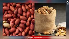 Peanuts: ਸਰਦੀਆਂ 'ਚ ਮੂੰਗਫਲੀ ਖਾਣ ਨਾਲ ਸਕਿਨ ਨੂੰ ਵੀ ਮਿਲਦੇ ਨੇ ਇਹ ਗਜ਼ਬ ਦੇ ਫਾਇਦੇ