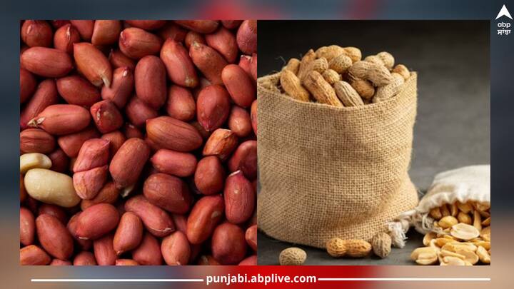 Health News:ਮੂੰਗਫਲੀ ਕੋਲੈਸਟ੍ਰੋਲ ਨੂੰ ਘੱਟ ਕਰਨ ਅਤੇ ਦਿਲ ਦੀ ਬਿਮਾਰੀ ਦੇ ਜੋਖਮ ਨੂੰ ਘਟਾਉਣ ਵਰਗੇ ਕਈ ਸਿਹਤ ਲਾਭ ਪ੍ਰਦਾਨ ਕਰਦੀ ਹੈ। ਇਹ ਸੋਜ ਨੂੰ ਘਟਾਉਣ, ਪਾਚਨ ਸਿਹਤ ਨੂੰ ਉਤਸ਼ਾਹਿਤ ਕਰਨ ਵਾਲੀ ਹੈ।