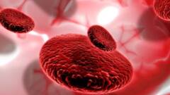 Health News:প্রেগন্যান্সির সময় অ্যানিমিয়া? ঢিলেমি দিলে হতে পারে বড় ক্ষতি