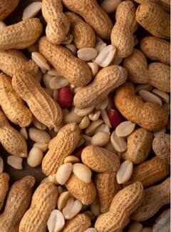 Peanuts: ਸਰਦੀਆਂ 'ਚ ਮੂੰਗਫਲੀ ਖਾਣ ਨਾਲ ਸਕਿਨ ਨੂੰ ਵੀ ਮਿਲਦੇ ਨੇ ਇਹ ਗਜ਼ਬ ਦੇ ਫਾਇਦੇ