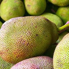 Jackfruit: ਕੀ ਤੁਸੀਂ ਜਾਣਦੇ ਹੋ ਕਟਹਲ ਖਾਣ ਦੇ ਫਾਇਦੇ?