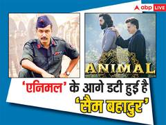 रिलीज से पहले ही 'एनिमल' को टक्कर दे रही 'सैम बहादुर'! एडवांस बुकिंग में विक्की कौशल की फिल्म ने कर लिया इतना कलेक्शन