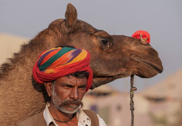 রাজস্থান ভারতের সেরা পর্যটনস্থল গুলোর অন্যতম। প্রাকৃতিক সৌন্দর্য থেকে প্রাচীন ইতিহাস-লোকসংস্কৃতি। সবকিছুই রয়েছে এই মরুরাজ্যে। সেগুলিই সুন্দর করে সাজিয়ে তোলা হয়েছে পর্যটকদের সামনে। তারই একটি উদাহরণ পুষ্কর মেলা। পর্যটনের সঙ্গেই এসেছে ব্যবসা, এসেছে অর্থ।