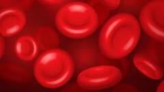 Health News:প্রেগন্যান্সির সময় অ্যানিমিয়া? ঢিলেমি দিলে হতে পারে বড় ক্ষতি