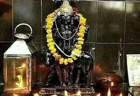 શનિવારે કાળી ગાયની સેવા કરવાથી શનિનો અશુભ પ્રભાવ ઓછો થાય છે. કાળી ગાયના માથા પર તિલક લગાવો, તેના શિંગડામાં કાલવ બાંધો અને ધૂપ-આરતી કરો. તેનાથી શનિદેવની કૃપા પ્રાપ્ત થાય છે.