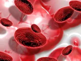 Blood Cancer Symptoms : त्वचेचा रंग बदलत असेल तर सावधान; असू शकतो ब्लड कॅन्सरचा धोका, 'असे' ओळखा