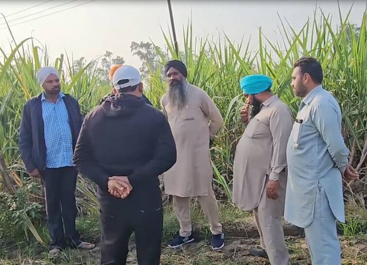 Farmers reaction cm mann gifts to increase rates of sugarcane prices Punjab news: ਅਸੀਂ ਗੰਨੇ ਦੇ ਭਾਅ 'ਚ ਹੋਏ 11 ਰੁਪਏ ਦੇ ਵਾਧੇ ਦਾ ਕੀ ਕਰਾਂਗੇ? ਸਾਨੂੰ ਆਪਣੀ ਫਸਲਾਂ ਦੀ..., ਮੁੱਖ ਮੰਤਰੀ ਦੇ ਤੋਹਫੇ ਤੋਂ ਕਿਸਾਨ ਨਾਖ਼ੁਸ਼