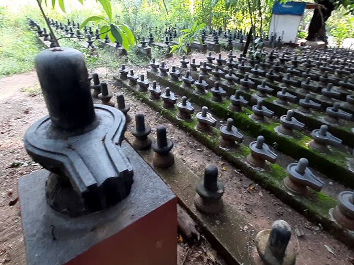 காணிக்கை லிங்க சிலைகள் (சுருளி மலை)