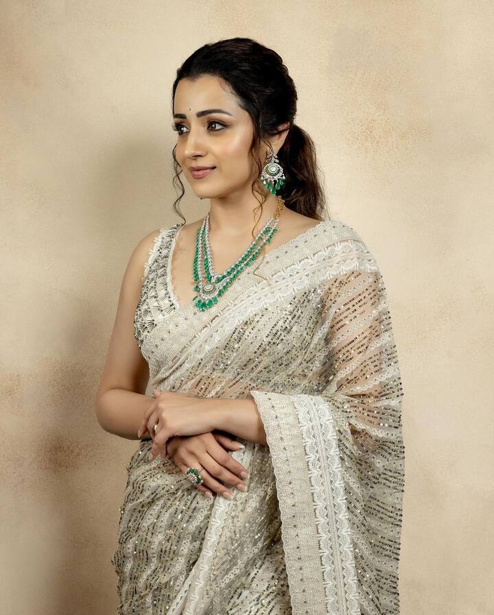 தென்னிந்திய திரையுலகின் உச்ச நட்சத்திரங்களுள் ஒருவர் நடிகை த்ரிஷா.
