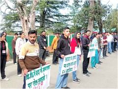 हिमाचल प्रदेश यूनिवर्सिटी में हुई हिंसा पर SFI का प्रदर्शन, एकतरफा कार्रवाई का लगाया आरोप