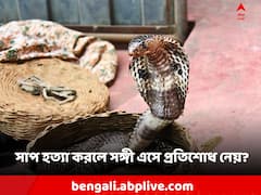 সাপ মেরে ফেললে কি অন্য সঙ্গী এসে প্রতিশোধ নেয়? এর কি সত্যতা রয়েছে?