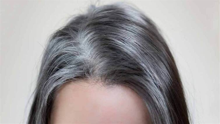 Hair Care Tips premature grey hair treatment naturally with home remedies marathi news Hair Care Tips : लहान वयांत केस पांढरे झाल्यामुळे लाज वाटतेय? पांढऱ्या केसांना लपवण्याचा 'हा' घ्या रामबाण उपाय