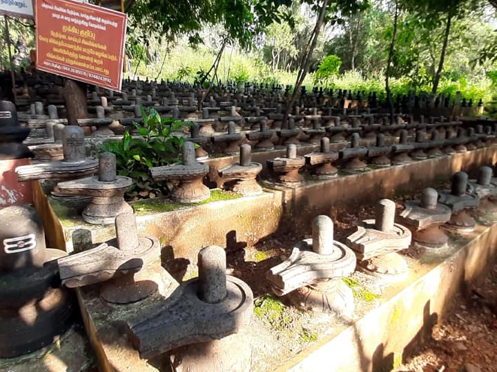 பக்தர்கள் காணிக்கையாக வைத்திருக்கும் கோடி லிங்க சிலைகள் ஒரு பகுதி (சுருளி மலை)