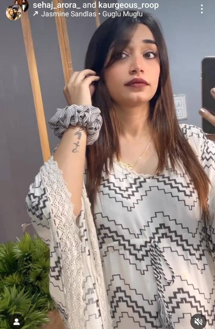 ਤਾਂ ਇਸ ਦੇ ਜਵਾਬ 'ਚ ਸਹਿਜ ਅਰੋੜਾ ਨੇ ਦੱਸਿਆ ਕਿ ਉਹ ਯੂਟਿਊਬ 'ਤੇ ਇੱਕ ਮਹੀਨੇ 'ਚ 3 ਵਲੌਗਜ਼ ਪਾਉਂਦੇ ਹਨ, ਜਿਨ੍ਹਾਂ 'ਤੇ ਡੇਢ ਤੋਂ 2 ਲੱਖ ਦੇ ਕਰੀਬ ਵਿਊਜ਼ ਆ ਜਾਂਦੇ ਹਨ। ਯੂਟਿਊਬ ਤੋਂ ਉਨ੍ਹਾਂ ਨੂੰ ਇੱਕ ਮਹੀਨੇ 200 ਡਾਲਰ (16000 ਭਾਰਤੀ ਰੁਪਏ) ਤੱਕ ਕਮਾਈ ਹੋ ਜਾਂਦੀ ਹੈ।