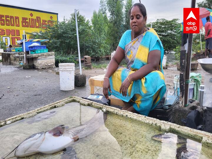 இதன் காரணமாக செம்பரம்பாக்கம் ஏரியை பார்வையிட பொதுமக்கள் கூட்டம் அதிகரித்து வருகிறது