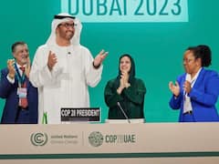 PM Modi Arrives In Dubai As COP28 Kicks Off With Climate Disaster Fund Pledge. IN PICS