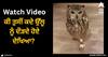 Viral Video: ਕੀ ਤੁਸੀਂ ਕਦੇ ਉੱਲੂ ਨੂੰ ਦੌੜਦੇ ਹੋਏ ਦੇਖਿਆ? ਜੇਕਰ ਨਹੀਂ ਦੇਖਿਆ ਤਾਂ ਇਹ ਵੀਡੀਓ ਜ਼ਰੂਰ ਦੇਖੋ