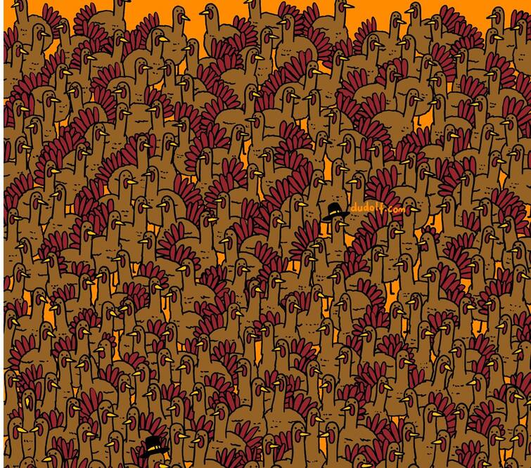 Brain Teaser Can You Able To Spot Three Roosters Among Turkeys Tamil Puzzles Brain Teaser: வான் கோழி கூட்டத்துக்குள்ளே ஒளிந்திருக்கும் 3 சேவல்கள்; கண்டுபிடிங்க பார்ப்போம்!