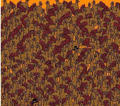 Brain Teaser Can You Able To Spot Three Roosters Among Turkeys Tamil Puzzles Brain Teaser: வான் கோழி கூட்டத்துக்குள்ளே ஒளிந்திருக்கும் 3 சேவல்கள் கண்டுபிடிங்க பார்ப்போம்!