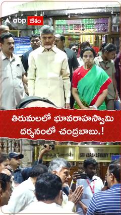 తిరుమలలో భూవరాహ స్వామి దర్శనంలో చంద్రబాబు.!