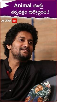 Animal చూస్తే ధర్మచక్రం గుర్తొచ్చింది.!