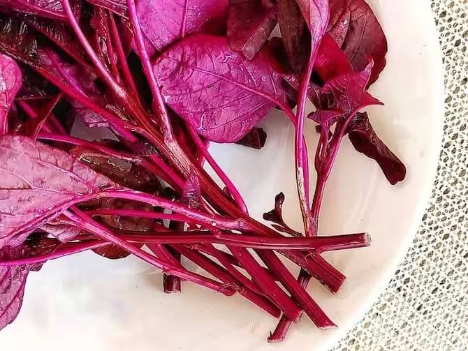 শীতের হাওয়া বইতে শুরু হওয়ার সঙ্গে সঙ্গে সবুজ শাক-সবজির আধিক্য দেখা যায়, যা আমাদের মৌসুমী খাদ্যের প্রধান উপাদান হয়ে ওঠে। এই সময় পালং শাক সাধারণত বেশি খাওয়া হয়। মেথি শাকও খাওয়া হয়। এই সবুজ শাকগুলোর অনেক উপকারিতা রয়েছে। তবে শুধু সবুজ শাক নয়, লালশাকেও আছে প্রচুর পুষ্টিগুণ। শীতের সময়ে সবুজ শাকের পাশাপাশি পাতে থাকুক লালশাকও।