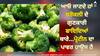 Broccoli Benefits: ਆਓ ਜਾਣਦੇ ਹਾਂ ਗੋਭੀ ਵਰਗੀ ਨਜ਼ਰ ਆਉਣ ਵਾਲੀ ਬਰੋਕਲੀ ਦੇ ਗੁਣਕਾਰੀ ਫਾਇਦਿਆਂ ਬਾਰੇ...ਪ੍ਰੋਟੀਨ ਦਾ ਪਾਵਰ ਹਾਊਸ ਹੈ