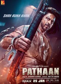 2023 ஆம் ஆண்டில் அதிக வசூல் செய்த இந்திய படங்கள்.. முதல் இரண்டு இடங்களை பிடித்த ஷாருக்கான்!