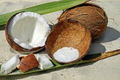 Coconut Benefits: ताज्या नारळाचे खोबरे शरीराचे करते अनेक आजारांपासून संरक्षण, जाणून घ्या फायदे..