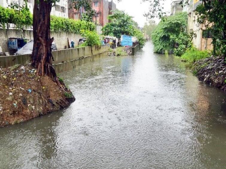 Due to the rains in Chennai, rain water has accumulated in various places Chennai Water logged: மழையால் ஸ்தம்பித்து போன சென்னை! மின்னல் வேகத்தில் பணியாற்றும் மாநகராட்சி!