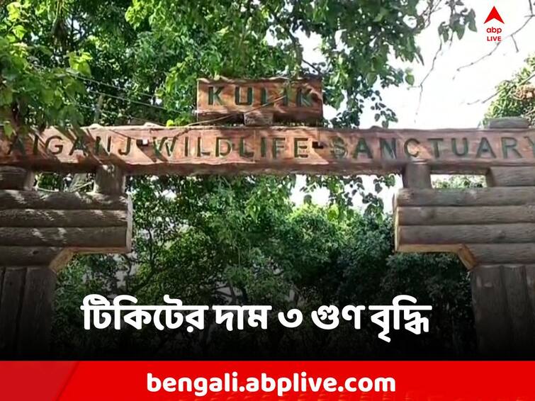 Bird's nest ticket price increased three times Disappointed tourists Raigunj: একলাফে তিনগুণ দাম বাড়ল পক্ষী নিবাসের টিকিটের! ঘুরতে এসে হতাশ পর্যটকরা