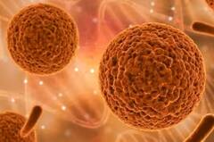 Blood Cancer: સ્કિનનો રંગ બદલાઈ રહ્યો છે તો બ્લડ કેન્સર હોઈ શકે, આ રીતે કરો ઓળખ