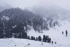 Jammu Kashmir Snowfall : ये हसीं वादियां... जम्मू काश्मीरमध्ये जोरदार बर्फवृष्टी! सर्वत्र बर्फाची चादर, पर्यटकांची गर्दी