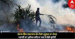 National Pollution Control Day : ਪੰਜਾਬ ਵਿੱਚ ਲਗਾਤਾਰ ਵੱਧ ਰਿਹੈ ਪ੍ਰਦੂਸ਼ਣ ਦਾ ਪੱਧਰ, ਪਰਾਲੀ ਦਾ ਪ੍ਰਬੰਧਨ ਬਣਿਆ ਸਭ ਤੋਂ ਵੱਡੀ ਚੁਣੌਤੀ