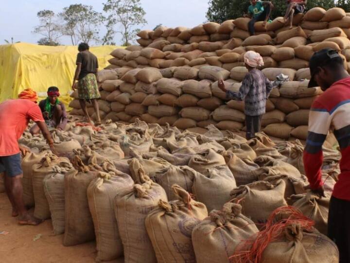 Chhattisgarh Paddy Procurement Middlemen 50 bags of paddy seized from pickup Ann Paddy Procurement: छतीसगढ़ में धान की खरीद शुरू होते ही सक्रिय हुए बिचौलिये, पिकअप से 50 बोरी धान जब्त