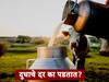 महाराष्ट्रात दुधाचे दर का पडतात? जाणून घ्या तज्ज्ञांकडून 'दुधाचं अर्थकारण'